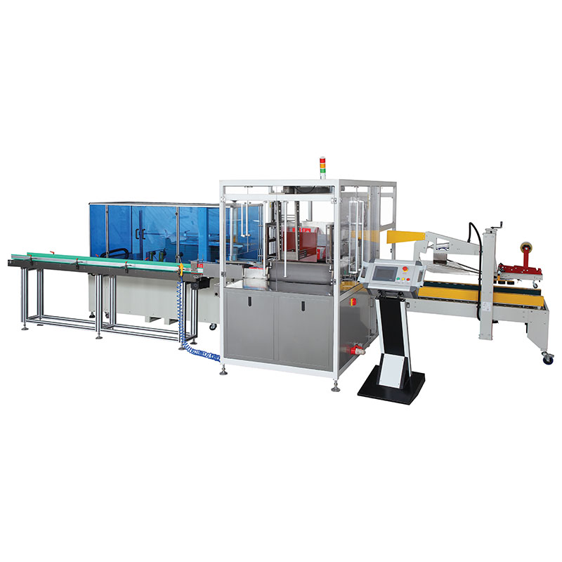 YL-550 Box Carton Packer Machine