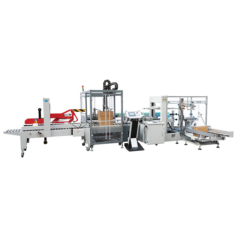 YL-600 Automatic Case Packer Machine From Top Load Product